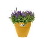 vibia campana 30cm jaune miel